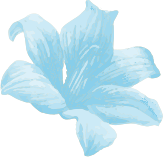 Sky blue flower